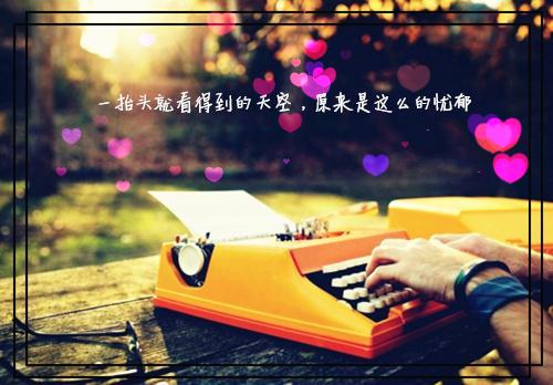 孟棠音陆沉季怀瑾江云舒的小说 愿将过往秋收冬藏2小说全文+番外小说免费阅读