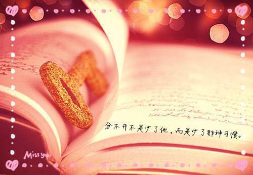 戒断反应：后续小说(温言裴寂川季微沈逾白)无弹窗阅读