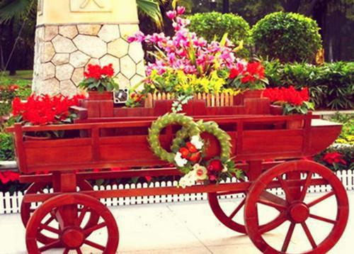 主角傅羽姝霍闻栖小说免费阅读最新章节