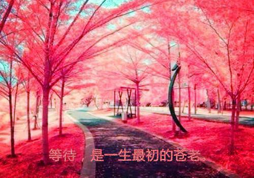 离婚后，前妻竟是隐藏的大佬结局+后续+完本（梁锦安傅闻衍）最新推荐_最新推荐离婚后，前妻竟是隐藏的大佬结局+后续+完本（梁锦安傅闻衍）