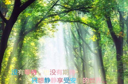 御兽废材？！但她能跟灵兽唠嗑啊无广告 元昭昭厉玄狰在线免费阅读