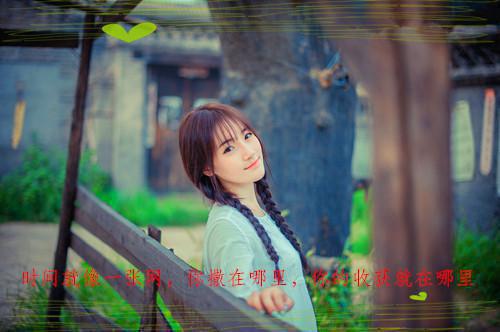 阮雾梨的小说人面桃花长相忆：阮雾梨闻砚辞全文在线阅读