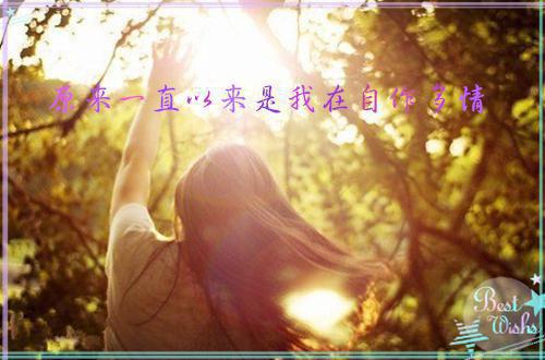 宋清韵江泽逸结局是什么 宋清韵江泽逸免费阅读全文