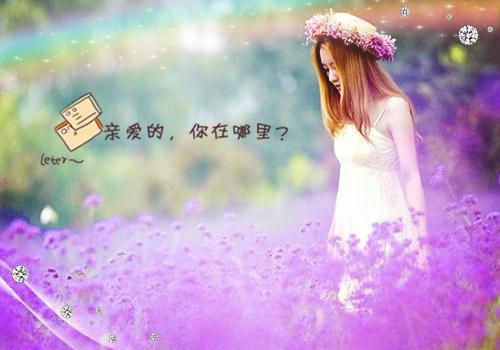 聂苍聂如山小说名字免费 重生1977：从打猎野猪开始赶山养家章节阅读
