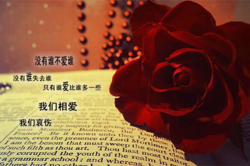 (抖音小说)关芷薄修霖小说全文阅读免费