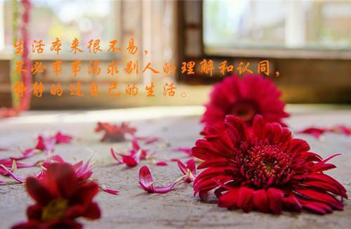 谢璟尧梁小姐《季风》小说在线阅读