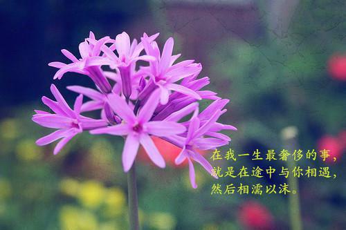 初见乍惊欢：结局+番外免费阅读无弹窗大结局_（沈意眠段钦言）初见乍惊欢：结局+番外最新章节列表_笔趣阁（沈意眠段钦言）