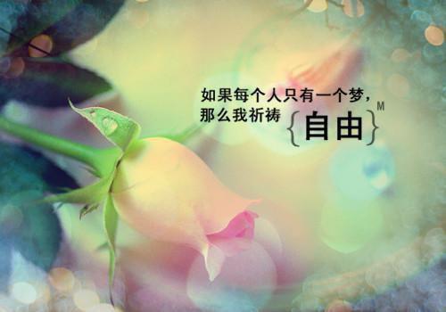 (最新)陈夏周礼小说完整版免费阅读