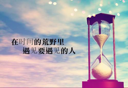 向来情深晚免费无弹窗 傅景岩秦向晚小说阅读