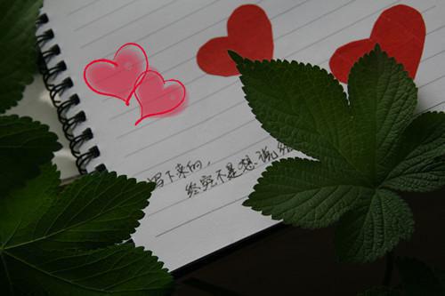 方知意阿洲《弟弟大婚当天，我拉着弟媳逃婚了》小说在线阅读