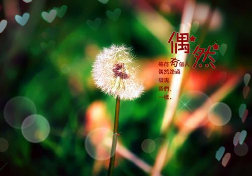 凌沐欢贺云钦第9章 凌沐欢贺云钦小说免费阅读
