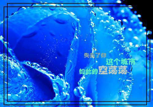 (番外)+(全文)爱如雾里看花：全文+后续+结局（沈知霜裴寂野）全文免费阅读无弹窗大结局_爱如雾里看花：全文+后续+结局最新章节列表_笔趣阁（沈知霜裴寂野）