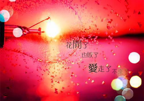 七年后毕业聚会，豪门千金还在等我跪求复合目录 陆世安李浩无弹窗阅读