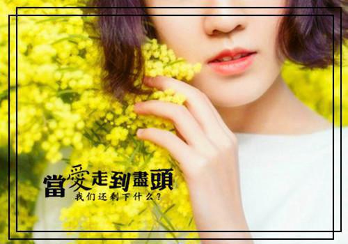 姜白苒季晏笙什么小说 姜白苒季晏笙全文免费阅读