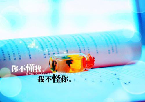 回首爱你正浓时经典荡气回肠最新章节列表_回首爱你正浓时经典荡气回肠全文免费阅读(周稚芸沈墨琛)