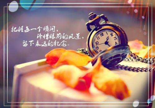 复亲别嫁小说 赵明窈卫澄姜少瑜昭言陆芙茵在线阅读第4章