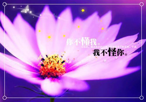 苏念念裴泽珩免费小说 苏念念裴泽珩完结版在线阅读