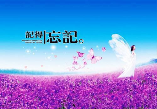 全本南风等不来候鸟：后续（沈南风苏雨柔）最新章节列表_全本南风等不来候鸟：后续全文阅读