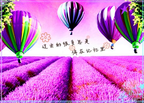 秦潇潇周昀皓全文免费无弹窗 当我考上省状元后章节试读