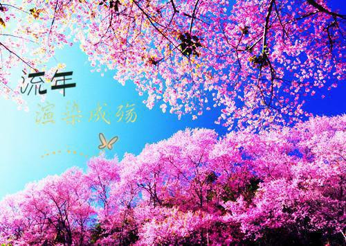 (番外)+(全文)人面桃花长相忆：前言+后续极佳剧情下载阅读_(阮雾梨闻砚辞 )人面桃花长相忆：前言+后续极佳剧情最新章节列表_笔趣阁（阮雾梨闻砚辞 ）