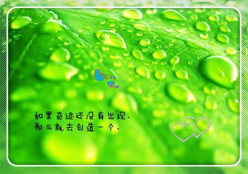 豪门妻子为初恋开赌石生死肖杰唐礼免费章节在线阅读