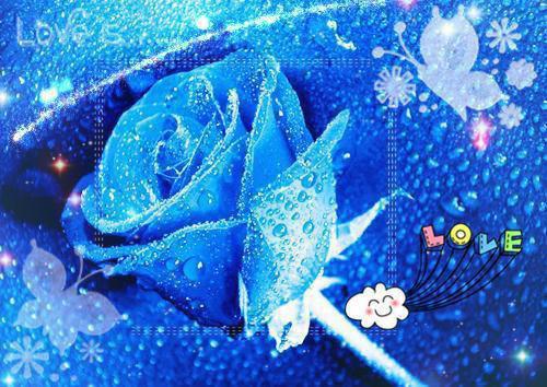 (完整版)司榷川林济慈小说免费阅读无广告