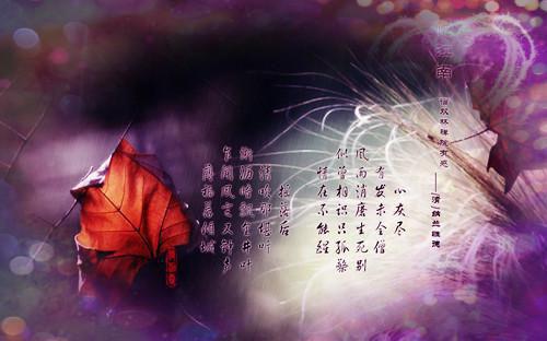 重生八零，让出高考状元后团长老婆悔疯了成洲柳茵茵付思远免费章节试读