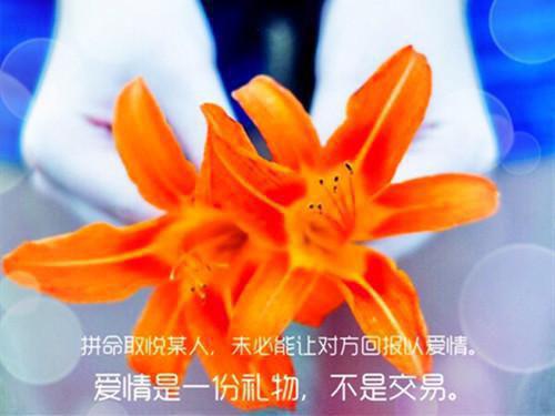 叶风萧言全文免费阅读最新 叶风萧言第8章