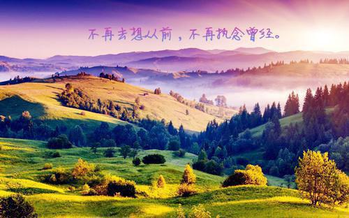 爱他者予他牢笼在线阅读 沈清芜谢韶景小说