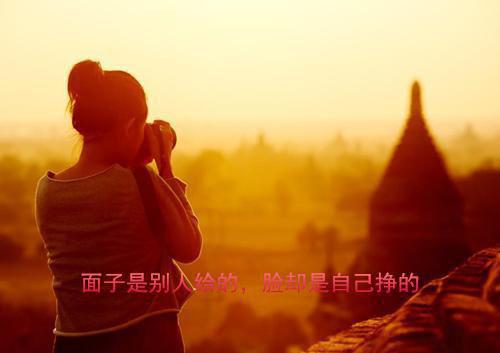 忆君不见泪沾襟免费赏析（谭知韵顾奕白）已完结，忆君不见泪沾襟免费赏析已完结