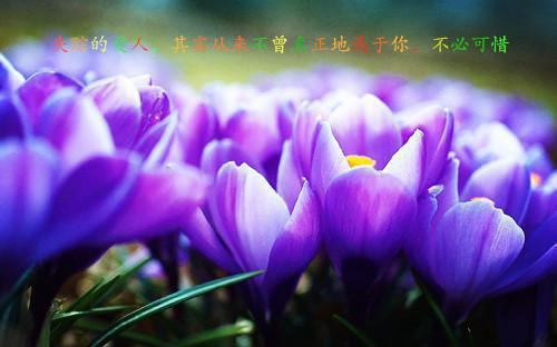 (完整版)孟静思宋朵小说免费阅读无广告