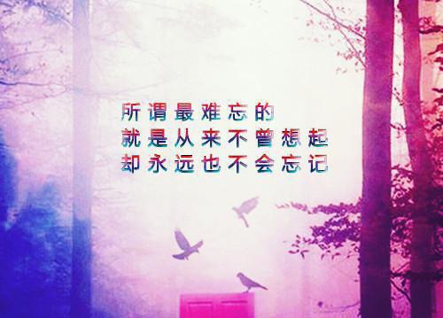 沈青禾周文渊江砚舟小说免费 沈青禾周文渊江砚舟第19章在线阅读