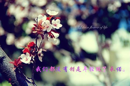 晚萤沈亦舟免费全本小说 晚萤沈亦舟章节目录