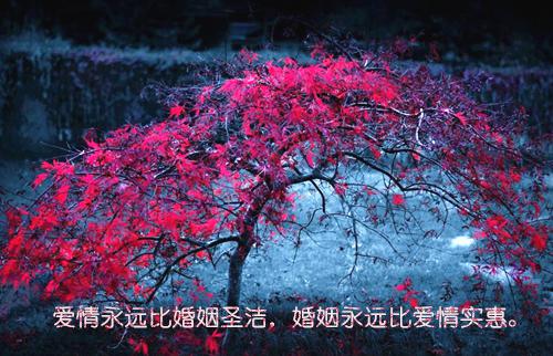 绝嗣老公出轨秘书，我转投京圈佛子怀抱治疗石女之症(傅夜怀江晚吟)无弹窗阅读
