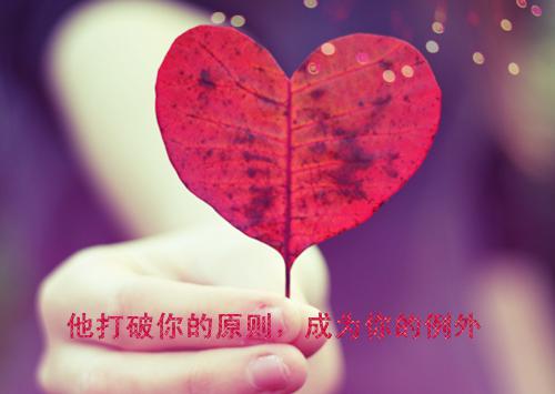 （与你恨海情天）与你恨海情天小说(陆仁泽姜清梨)小说全集速览无广告高口碑小说