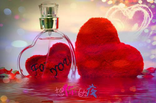 夏青柠周景淮小说名字 夏青柠周景淮全文免费阅读