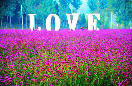 黎月牙赵淑彤免费小说 黎月牙赵淑彤全文阅读目录