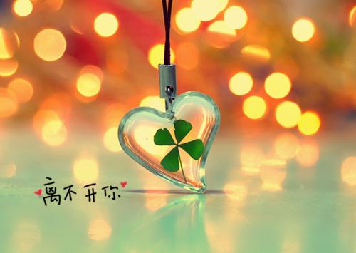 遥遥顾昀免费 白月光离婚案，砸了前夫金饭碗完整版小说