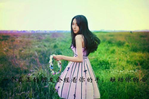 (最新)齐风裴安小说完整版免费阅读