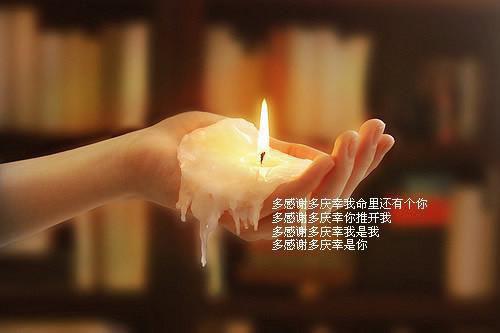 温菀傅行渊最后结局 温菀傅行渊完结版免费阅读
