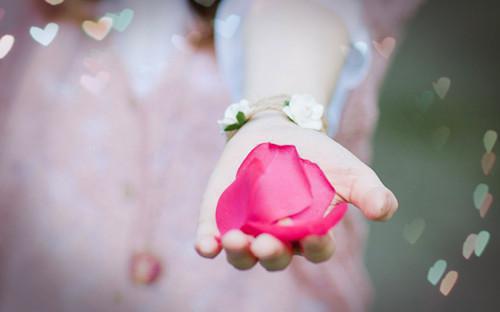 月亮不再落跑陆晏织织小说最新章节(在线阅读)