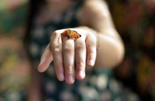 张初圣小说 张初圣免费章节阅读