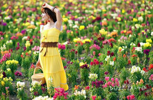 暗恋逢光小说完整版 穗儿在线阅读