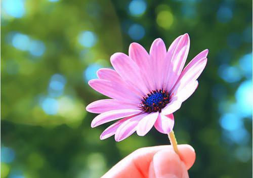 周越苏晚全文免费阅读最新 周越苏晚