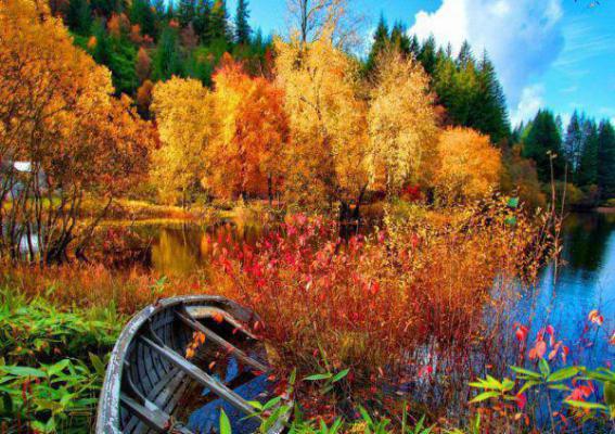 陈念沈宴的故事 重生后,我不帮为寡嫂假死的丈夫捞尸,他死透了章节阅读