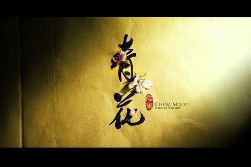 林悠悠周平免费阅读目录 林悠悠周平小说全文