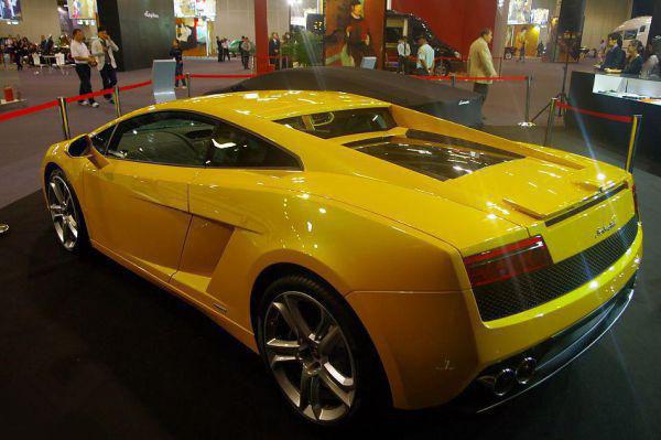 只为家人求一个真相免费阅读林彦沈寒小说