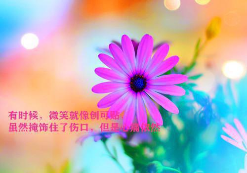 陆婷婷沈辞免费小说 陆婷婷沈辞全文阅读目录