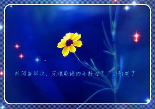 张含雁楚昊煊小说名字 张含雁楚昊煊全文免费阅读