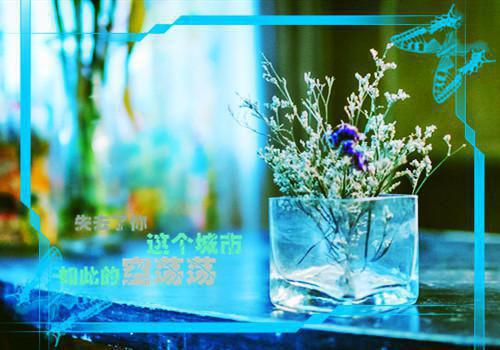 全本当女配看见弹幕后被病娇男主强制爱了：完结（江柠裴纪洲）最新章节列表_全本当女配看见弹幕后被病娇男主强制爱了：完结全文阅读